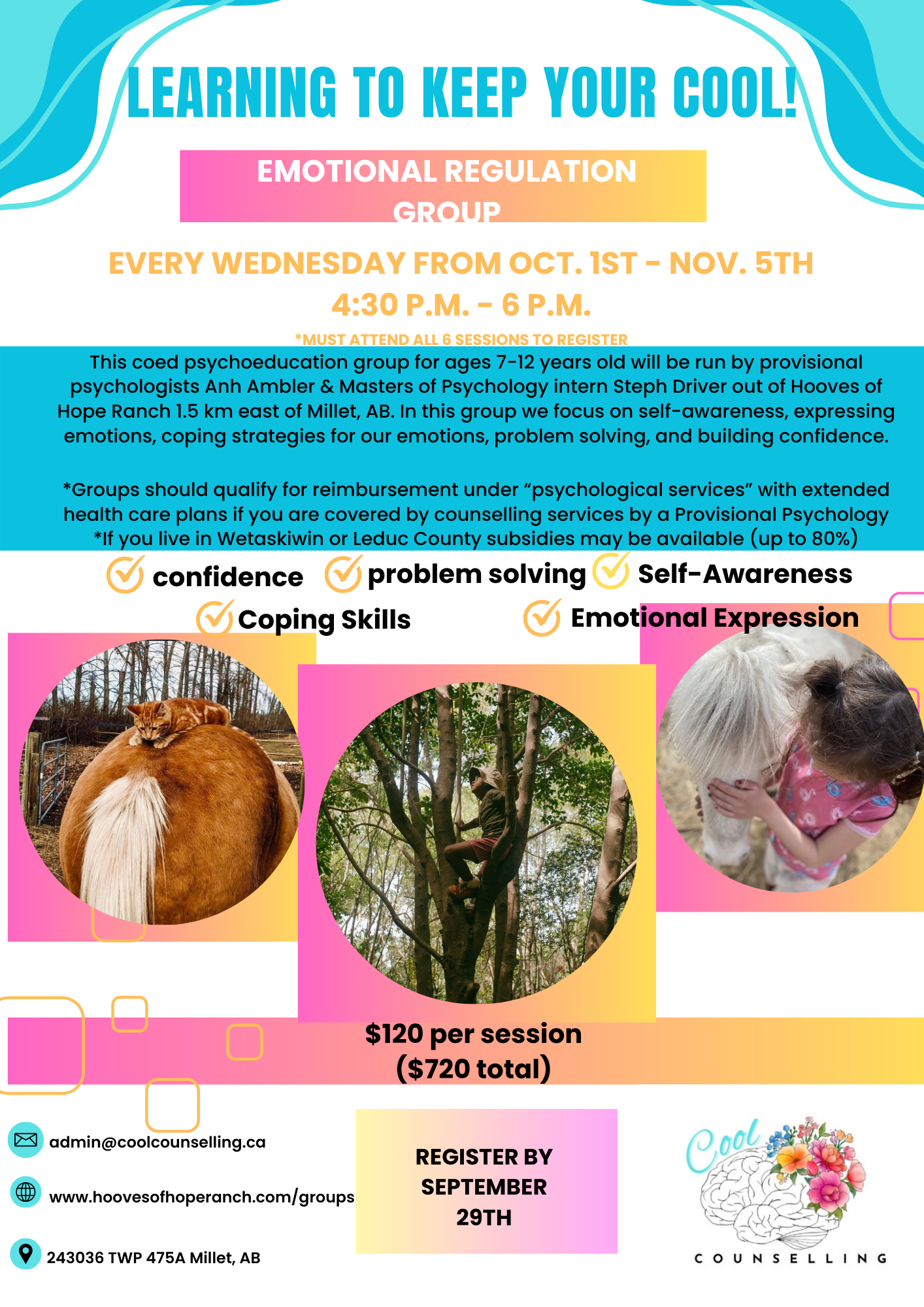 Emotionregulationgroupposter