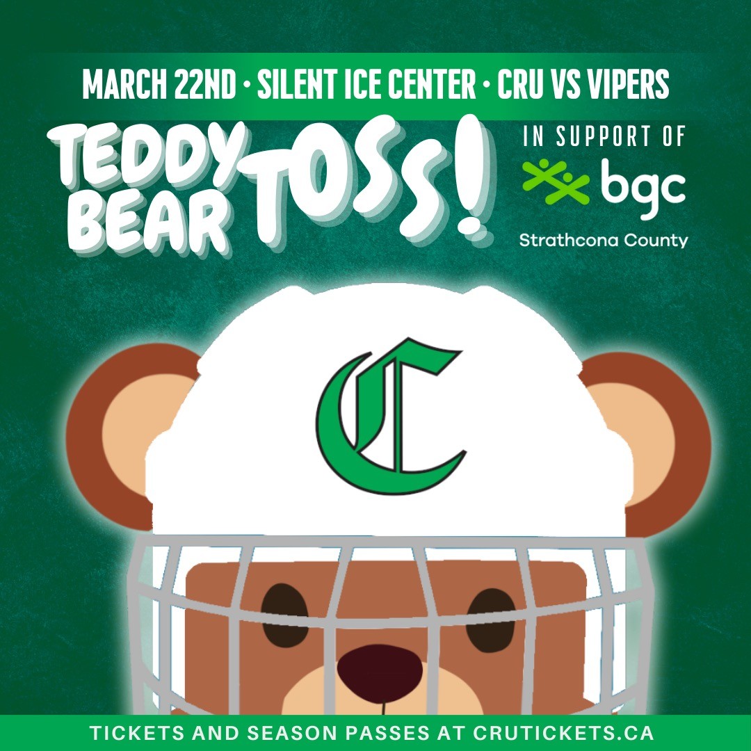 TEDDY BEAR TOSS v1 2 